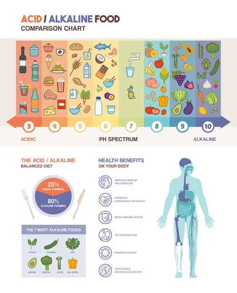 A dieta alcalina ácida —  Vetores de Stock