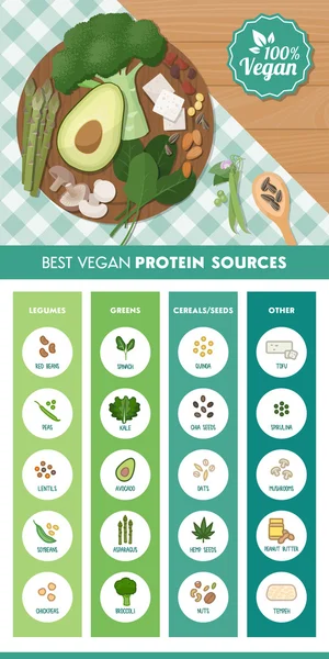 Vegan protein gıda kaynakları Infographic — Stok Vektör