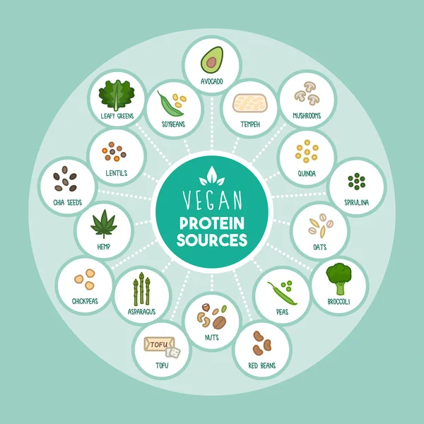 Fuentes de proteínas veganas — Archivo Imágenes Vectoriales