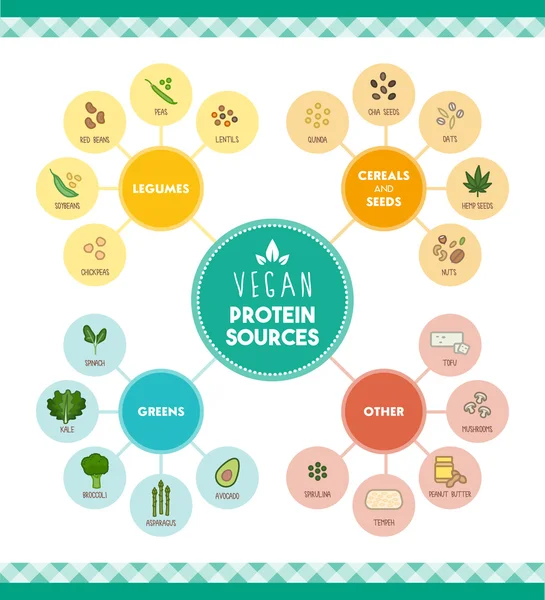 Vegan πρωτεΐνη τρόφιμα πηγές infographic — Διανυσματικό Αρχείο