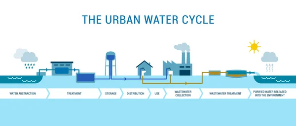 Urban Water Cycle Water Abstraction Treatment Distribution Wastewater Management Infographic — Stock Vector