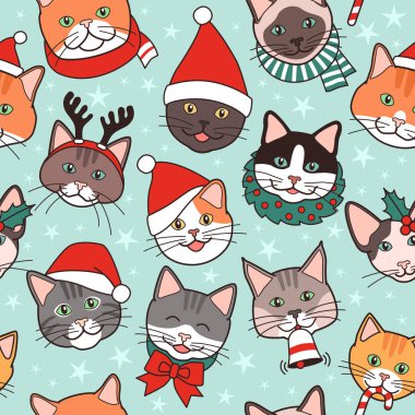 Mutlu şirin kediler Noel 'i kusursuz bir şekilde kutluyor.