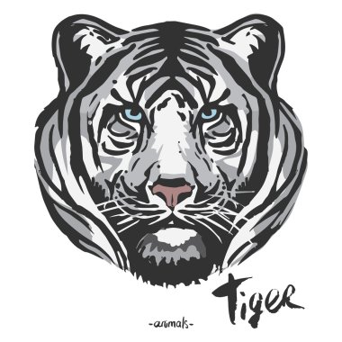 Beyaz Kaplan baş hayvan