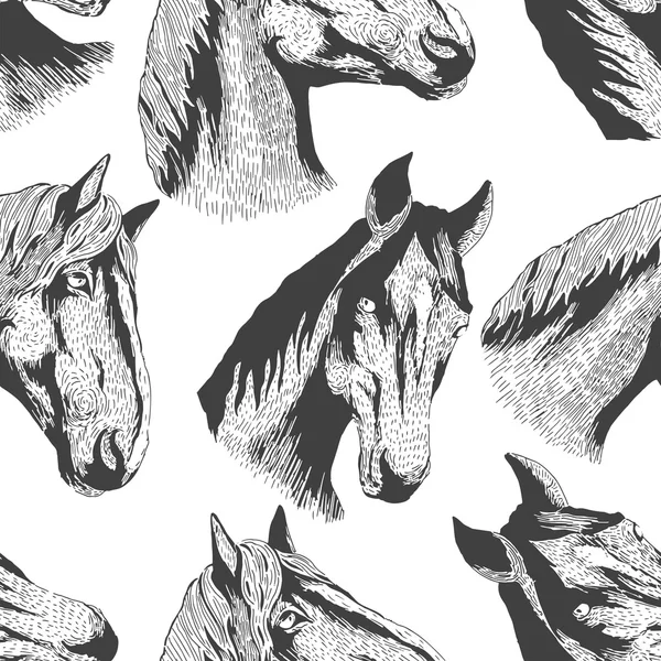 Modello faccia cavallo — Vettoriale Stock