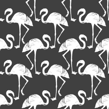 Flamingo kuşu desen