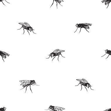 böcek desen monohrome sinek