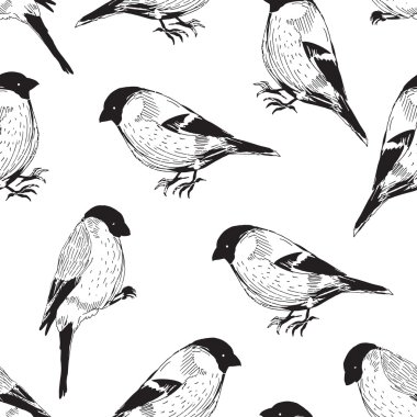 kuş şakrak kuşu siyah-beyaz desen