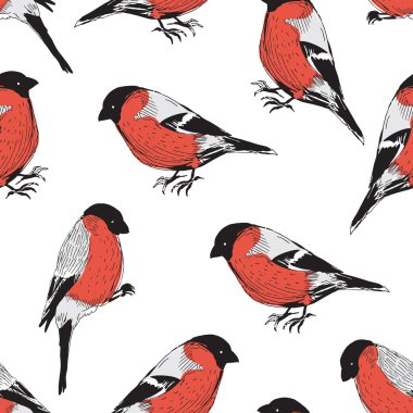 Kırmızı kuş şakrak kuşu desen