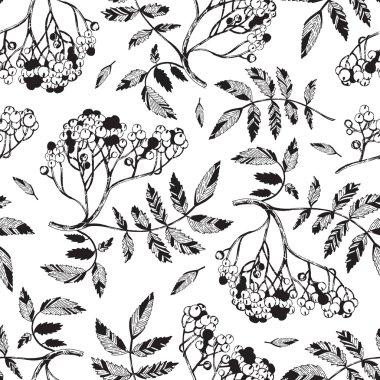 Şube berry Roma şakrak kuşu desen