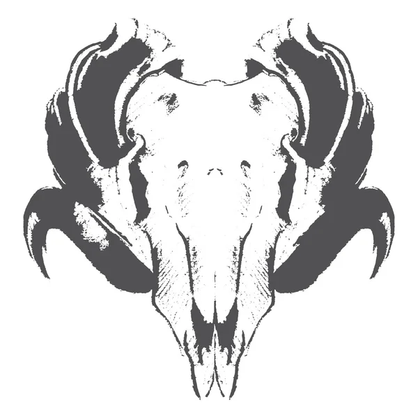 hayvan kafatası baş nesne