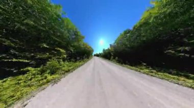 Geriye dönük kır yolu manzaralı araç plakası, bereketli ağaçlardan oluşan yüksek duvarlar. Manitoulin Adası 'nda sonbaharın başında kır yolunda araba kullanmak. Manitou Gölü yakınlarındaki Gibraltar Yolu, Ontario, Kanada.