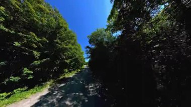 İleri görüşlü kır yolu ön plaka, verimli ağaçlardan oluşan yüksek kenar duvarlar. Manitoulin Adası 'nda sonbaharın başında kır yolunda araba kullanmak. Manitou Gölü yakınlarındaki Gibraltar Yolu, Ontario, Kanada.