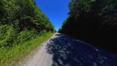 Geriye dönük kır yolu manzaralı araç plakası, bereketli ağaçlardan oluşan yüksek duvarlar. Manitoulin Adası 'nda sonbaharın başında kır yolunda araba kullanmak. Manitou Gölü yakınlarındaki Gibraltar Yolu, Ontario, Kanada.