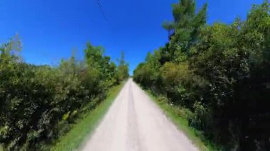 Geriye dönük kır yolu manzaralı araç plakası, bereketli ağaçlardan oluşan yüksek duvarlar. Manitoulin Adası 'nda sonbaharın başında kır yolunda araba kullanmak. Manitou Gölü yakınlarındaki Gibraltar Yolu, Ontario, Kanada.