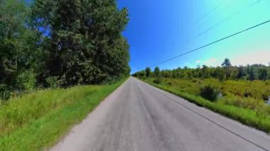 Geriye dönük kır yolu manzaralı araç plakası, bereketli ağaçlardan oluşan yüksek duvarlar. Manitoulin Adası 'nda sonbaharın başında kır yolunda araba kullanmak. Manitou Gölü yakınlarındaki Gibraltar Yolu, Ontario, Kanada.