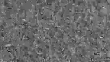 Elektromanyetik parazitin soyut siyah ve beyaz taneli dokusu. Trippy bozunma etkisi. Elektronik cihazın arkaplan tahıl gürültüsü, sensör okumaları. Hata efekti, kayıp sinyal.