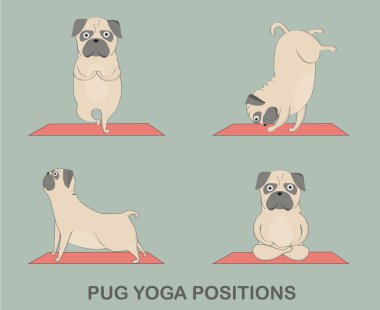 Yoga pugs seti