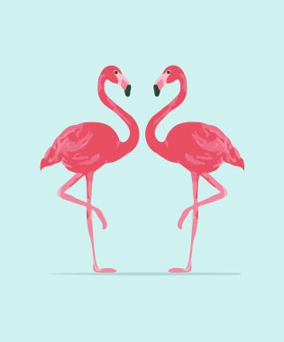 Vektör çizim pembe flamingo Çift