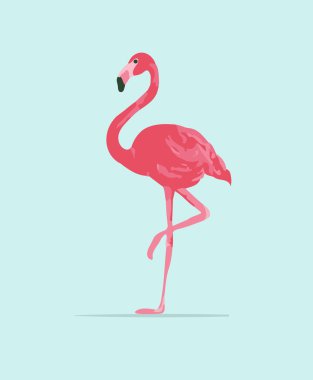 Vector illustration pink flamingo clipart