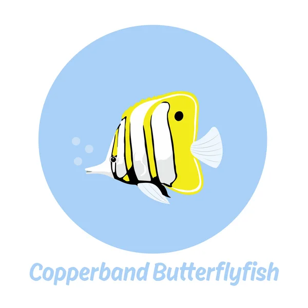 Copperband Butterflyfish inscripción con pescado — Vector de stock