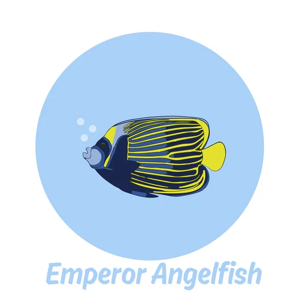 Emperador Angelfish inscripción con pescado — Vector de stock