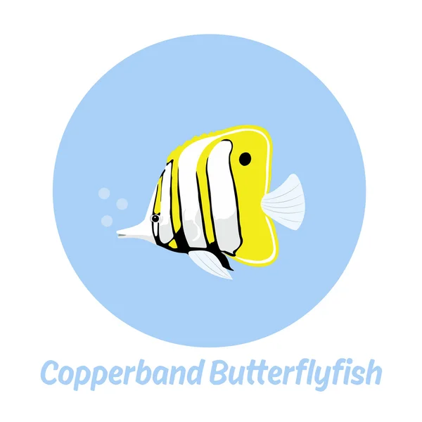 Copperband Butterflyfish inscripción con pescado Vector de stock