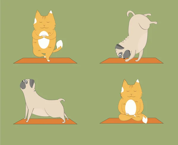 Yoga Mopsen en katten ingesteld. Schattig Mopsen en katten doen yoga — Stockvector