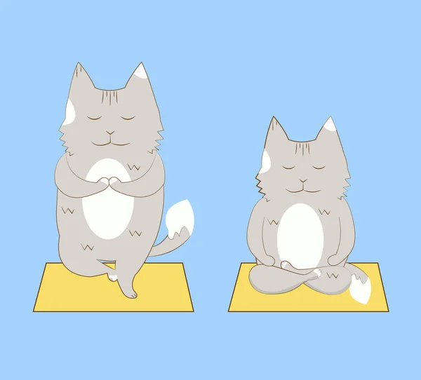 Set de gatos de yoga . — Vector de stock