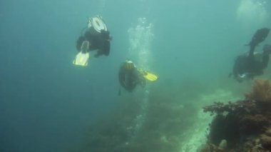 Dalgıçlar mercan kayalıklarını keşfeder ve balıklara bakarlar. Mercan resifli tropik renkli deniz manzarası. Camiguin, Filipinler.