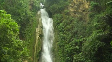 Ormanın derinliklerinde Mantayupan Şelalesi 'nin şelalesi. Tropik dağ ormanlarında şelale. Cebu, Filipinler