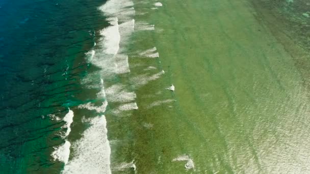 Ondas Oceánicas Rompiendo Orilla Vista Aérea Del Arrecife Coral — Vídeos de Stock