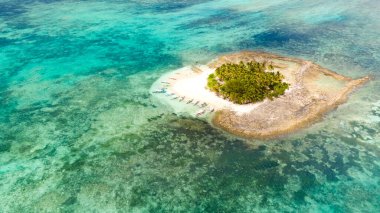 Guyam Adası, Siargao, Filipinler. Palmiye ağaçları ve beyaz kumlu plajı olan küçük bir ada. Filipin Adaları.