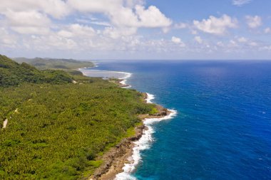 Tropik bir adanın kayalık kıyıları. Siargao, Filipinler. Güneşli havada palmiye ağaçlarıyla deniz manzarası.