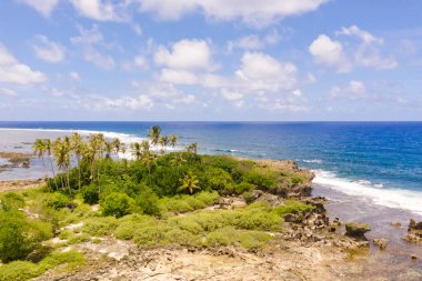 Tropik bir adanın kayalık kıyıları. Siargao, Filipinler. Güneşli havalarda palmiye ağaçlarıyla deniz manzarası. Deniz kenarında hindistan cevizi ağaçları.