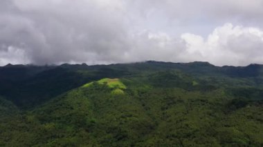 Dağlar yağmur ormanlarıyla kaplı..