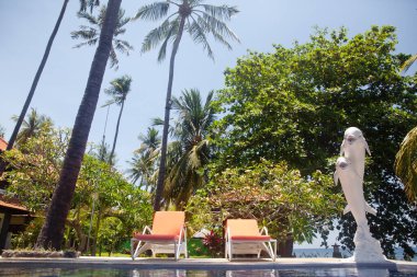 Havuz kenarındaki güneş pansiyonları. İki rahat misafir odası.