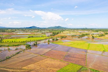Filipinler 'deki çeltik tarlaları. Yeşil tepeleri ve tarlaları olan dağ manzarası. Yaz ve seyahat tatili konsepti. Leyte Adası, Filipinler. Tarım kavramı.