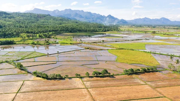 Paddy Fält Filippinerna Bergslandskap Med Gröna Kullar Och Jordbruksmark Sommar — Stockfoto