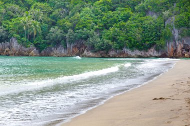 Tropikal ağaçlı kayalık sahil. Filipin Adaları 'nın doğası. Kumsal. Açık okyanus suyunun arka planında kayalık sahil ve sahil.