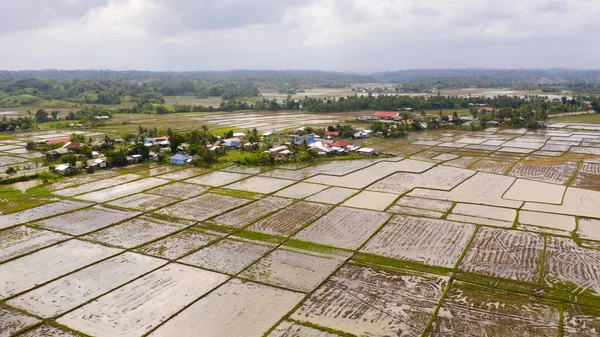 Filippinska Byar Och Risfält Översvämmades Vatten Landskap Med Jordbruksmark Utsikt — Stockfoto