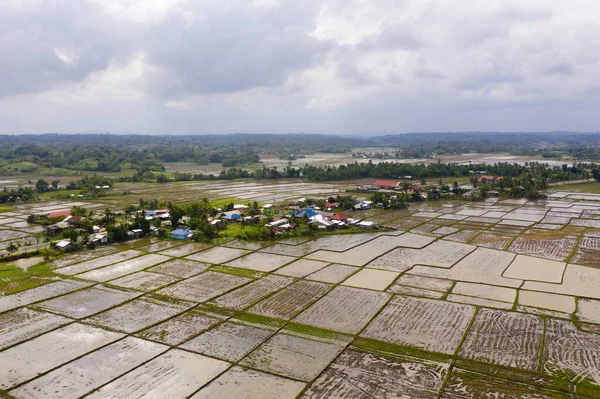 Filippinska Byar Och Risfält Översvämmades Vatten Jordbruksfält Luzon — Stockfoto
