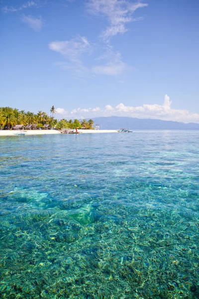 Turkuaz göl ve tropikal ada. Bir yaz günü, okyanusta bir mercan adasında palmiye ağaçları olan bir ada..