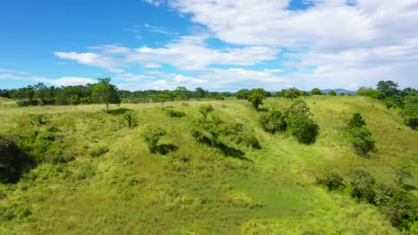 Zomer bergen groen gras en blauwe lucht landschap — Stockvideo