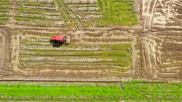 Paddy fält med vatten, ovanifrån. Jordbruk i Filippinerna. — Stockvideo