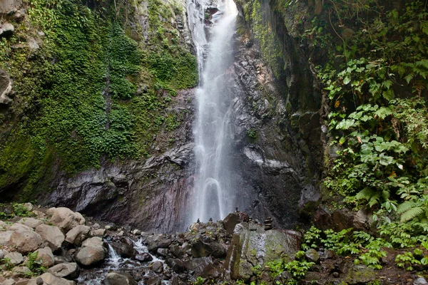 Waterval Stenen Jungle Bali Indonesië Koele Waterval Het Bos — Stockfoto