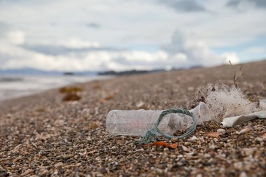 Plaj kirliliği. Plastik şişeler ve deniz sahilindeki diğer çöpler. Okyanus kirliliği. Deniz kıyısındaki plastik çöpler.