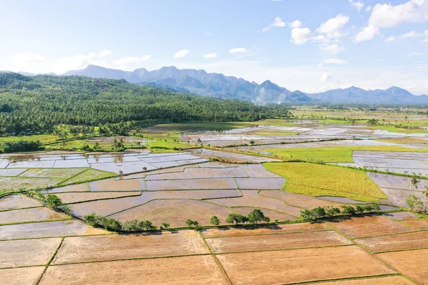 Leyte Adası, Filipinler 'deki manzara. Pirinç tarlaları, üst manzara. Tropikal iklimde tarım. Bereketli toprağı olan tropik bir manzara. Tarım kavramı.