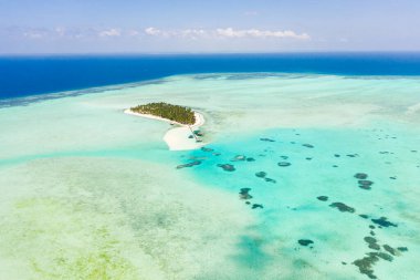 Etrafı güzel gölcüklerle çevrili tropik bir ada. Onok Adası Balabac, Filipinler. Tropik bir adada dinlenmek. Filipin Adaları 'nın Doğası.
