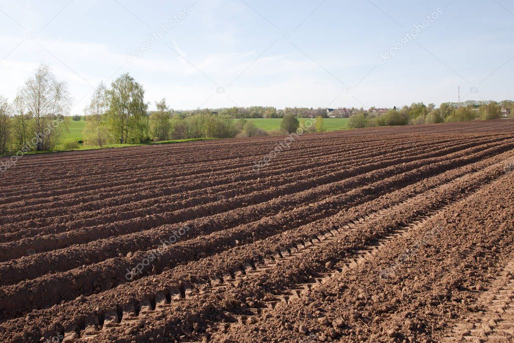 Furrows on a plowed field. Plowed field of potato in countryside. Agricultural fields in Russia.