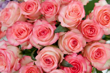 Pembe güllerin arkaplan resmi. Güzel bir buket gül, yakın plan..